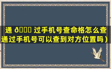 通 🐘 过手机号查命格怎么查（通过手机号可以查到对方位置吗）